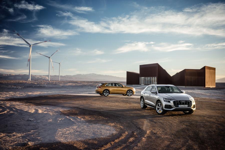  Audi Q8 50 TDI Quattro S-Line 2018 года  (WW) (фото 61 из 63)